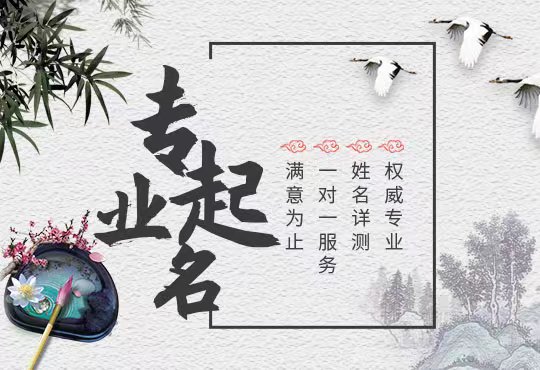 起名服务领域